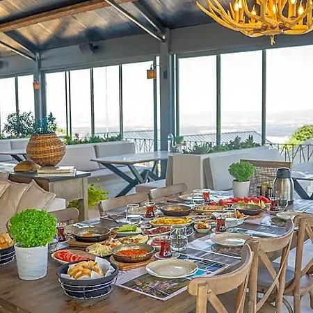 Alya Kartepe